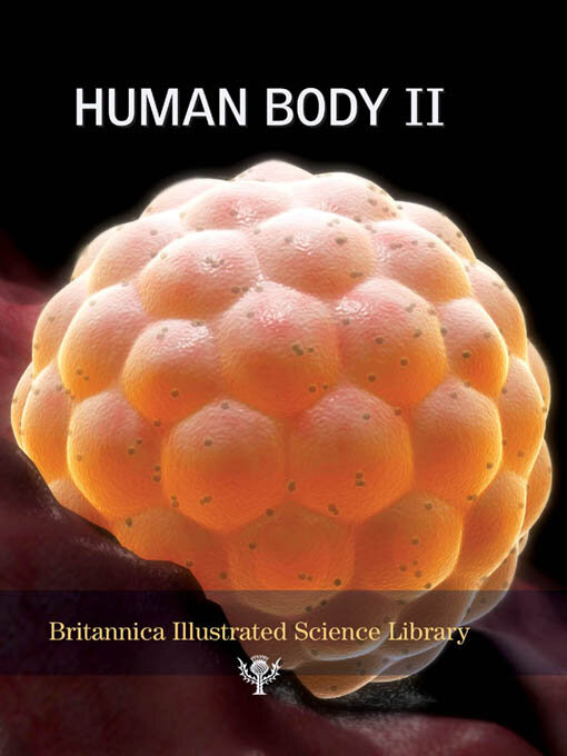 Cover image for Human Body II
